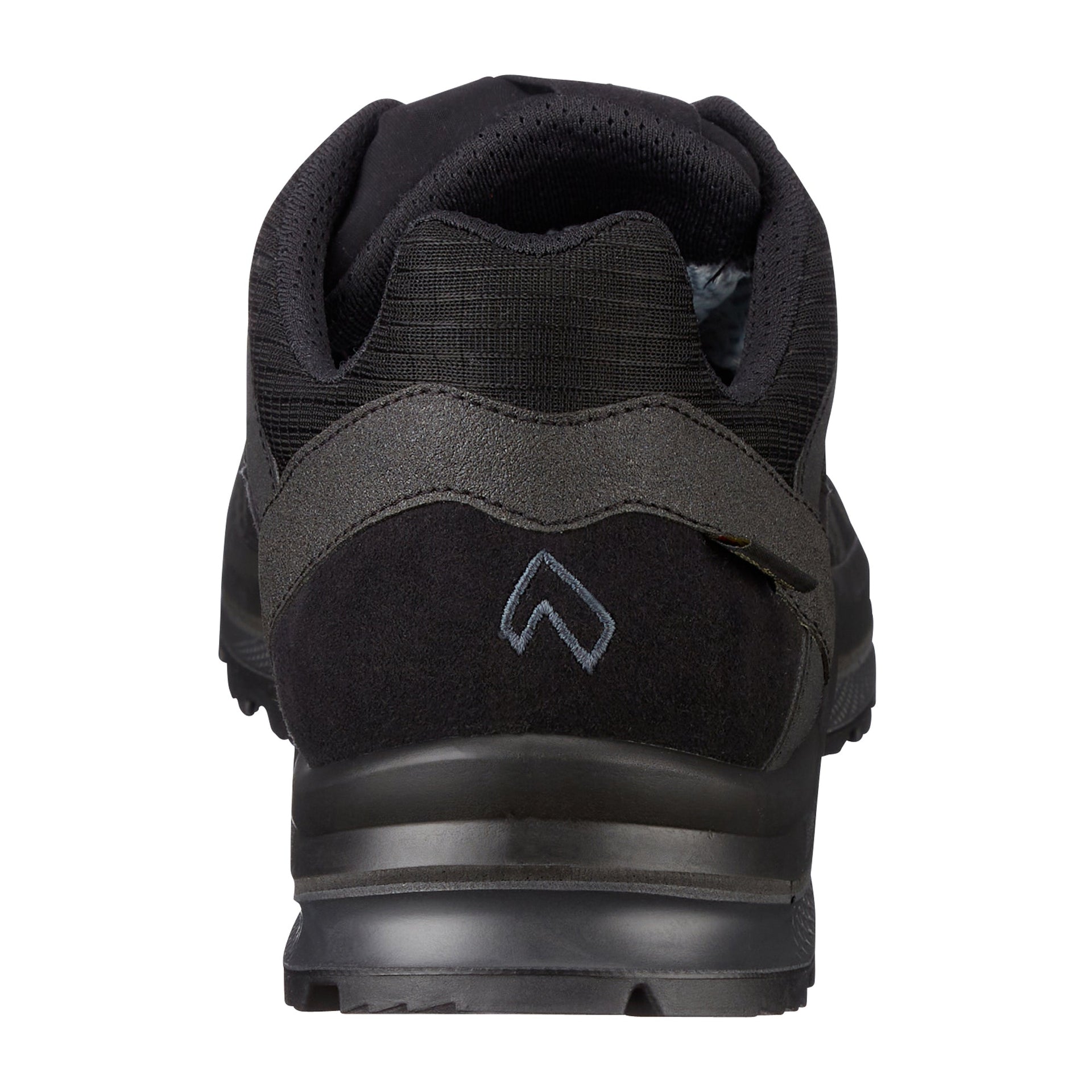 Funktionsschuh Black Eagle Athletic 2.1 GTX Low