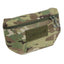 Front pocket plate carrier